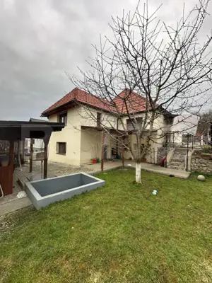 Casa in Teaca cu 4 camere si 10 ari de teren - imagine 2