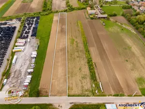 FILM! 5.000 mp teren, la marginea orasului Targu Secuiesc, aria industriala - imagine 2