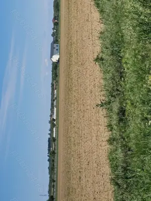 Propr. vand sub pretul pietei, 500  sau 1000 mp  intravilan , Snagov, coada lacului - imagine 10