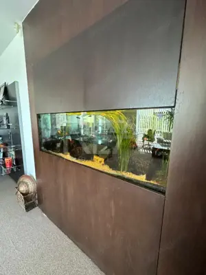 Spațiu Comercial | Investiție Solida | Chirias Activ | Splaiul Unirii - imagine 8