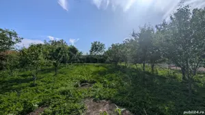 Casă + Teren 1700m  - imagine 4