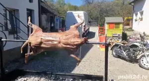 inchiriez protap rotisor - imagine 2