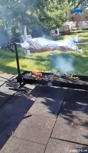 inchiriez protap rotisor - imagine 4