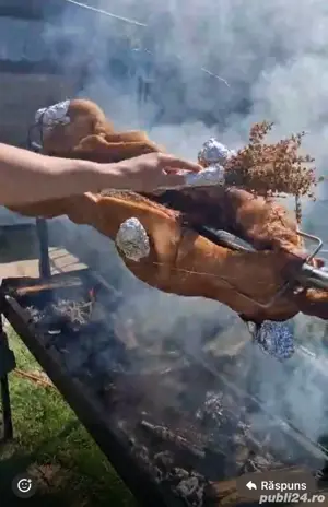 inchiriez protap rotisor - imagine 3