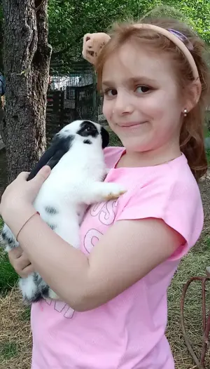 Iepuri de rasă mare  - imagine 4