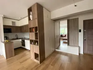 Montator mobila cu experienta