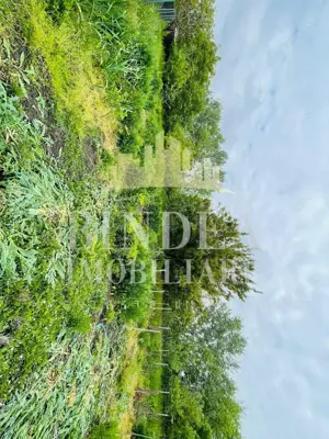 Casa individuala Covaci- 1000mp teren - imagine 3