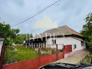 Casa individuala Covaci- 1000mp teren