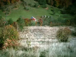 Teren 6700 mp, Apuseni, Pietroasa, Valea Aleului, Bihor, De Vânzare - imagine 5