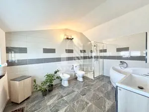 Casa individuala cu 5 camere pe 3 nivele, in Sanandrei - imagine 14