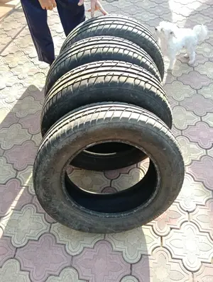 Anvelope de vara - imagine 6