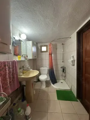 Agentia imobiliara VIGAFON vinde casa 4 camere Homoraciu - imagine 6