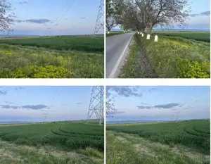 Teren cota parte 1/6 Paunesti, ID: R2547851 - imagine 4