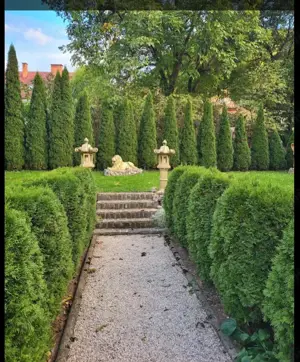 Eleganta si istorie: Apartament 4 camere in Centrul Istoric