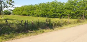 Teren INTRAVILAN de vanzare - imagine 5