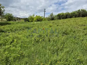 Teren intravilan, 1663 mp, central Dezmir - imagine 3