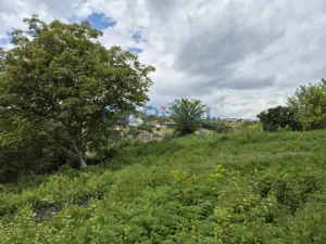 Teren intravilan, 1663 mp, central Dezmir - imagine 6