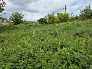 Teren extravilan 11 600mp, Dezmir - imagine 2