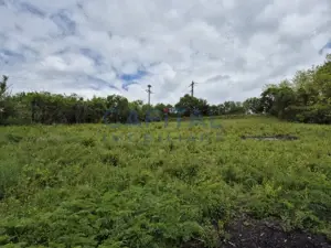 Teren intravilan, 1663 mp, central Dezmir - imagine 7