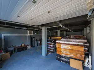 Hala / Spatiu Productie / Rezidential - Vedere catre lac - imagine 11