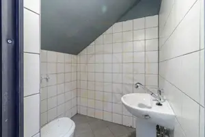 Hala / Spatiu Productie / Rezidential - Vedere catre lac - imagine 13