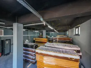 Hala / Spatiu Productie / Rezidential - Vedere catre lac - imagine 10