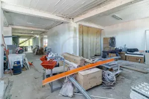 Hala / Spatiu Productie / Rezidential - Vedere catre lac - imagine 6