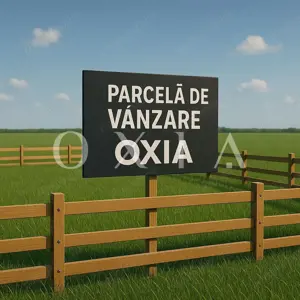 OX647 Terenuri pentru servicii si spatiu verde – Mosnita Noua, zona Valery