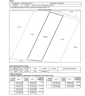 122 ari in Turnu, front 60 m la DN 7B, 15 km de Arad, 1 km de vama - imagine 4