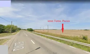 122 ari in Turnu, front 60 m la DN 7B, 15 km de Arad, 1 km de vama - imagine 7