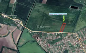 122 ari in Turnu, front 60 m la DN 7B, 15 km de Arad, 1 km de vama