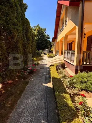 Vila de vanzare, cu 11 camere, 550 mp, zona Bariera Vâlcii - imagine 4