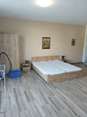 Garsoniera de inchiriat spre iesirea Zizin - imagine 4