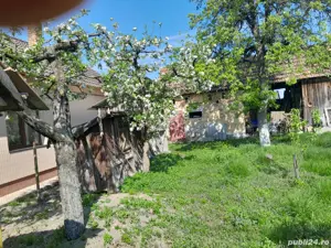 Casa de vânzare  - imagine 6 Casa de vânzare  - imagine 6