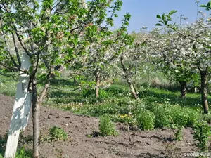 Casa de vânzare  - imagine 7 Casa de vânzare  - imagine 7