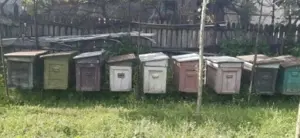 Stupi (lada goala) Oferta