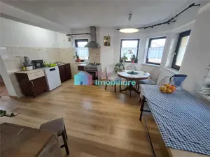 Casa finisata 480 mp teren Moara Nica - imagine 5