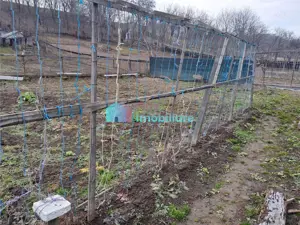 Casa cu 400 mp teren Bosanci - imagine 6