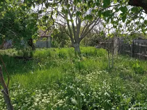 Gradistea ( Ilfov ), Teren 783mp - imagine 5