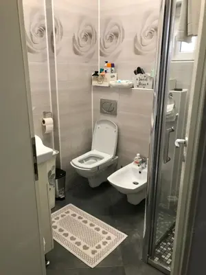 Casa individuala pe parter cu 3 dormitoare centrala proprie Zona Rebreanu - Brancoveanu - imagine 6