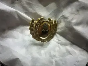 Insigna militara Cuc