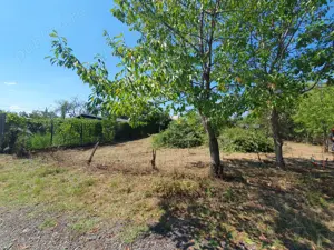 Teren intravilan Mitică Apostol