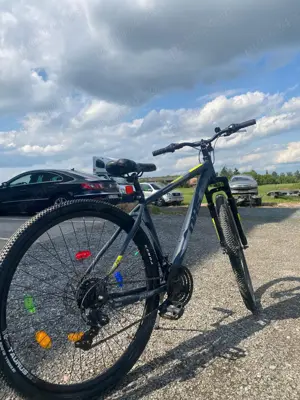 Bicicleta mtb terrana 