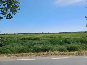 De vanzare teren ,Gruiu, Silistea Snagovului !