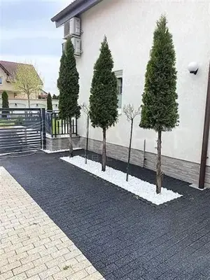 Casa 270 mp si teren 900 mp zona Brana Selimbar - imagine 7