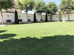 Casa 270 mp si teren 900 mp zona Brana Selimbar - imagine 3