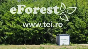 Paștele vine cu prețuri speciale!e!!! eForest, teren cu deschidere spre padure - imagine 5
