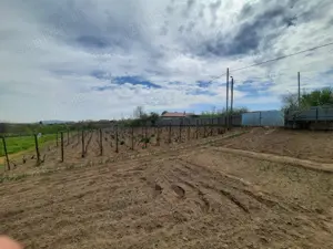 Vand teren intravilan in comuna Nalbant