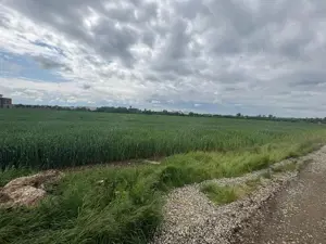 Oferta! Teren 5.000mp in comuna Balotesti cu deschidere la lac - imagine 4