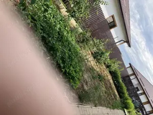 Imobiliare casa individuală  - imagine 4